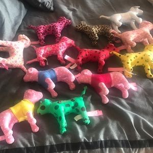 12 pink dog... $12 for all of them